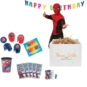 Spidey Birthday Party To Go